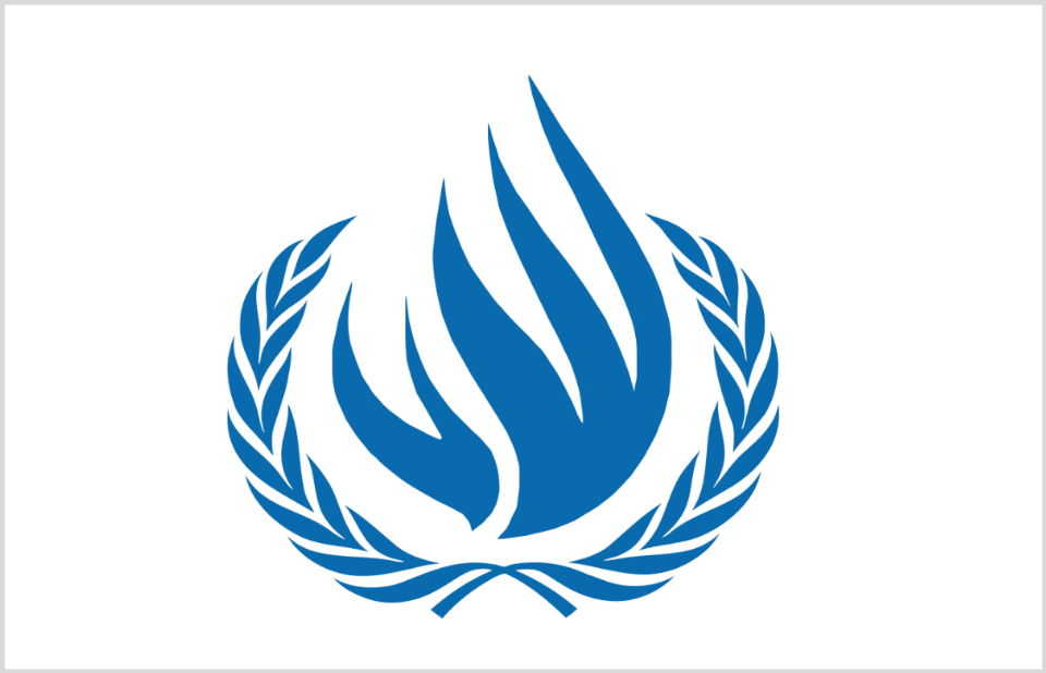 Управление комиссара по правам человека. Совет оон по правам человека (спч). Спч оон логотип. Жалоба в комитет оон по правам человека. Комитет по правам человека оон.
