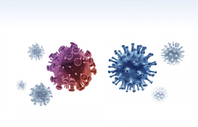 Results of the study "The prevalence of coronavirus infection COVID-19 among HIV-infected patients in Russia and the impact of the COVID-19 epidemic on the provision of HIV related medical care" Results of the study "The prevalence of coronavirus infection COVID-19 among HIV-infected patients in Russia and the impact of the COVID-19 epidemic on the provision of HIV related medical care"
