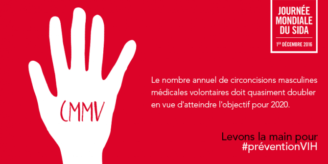 WAD2016_VMMC1_FR.png